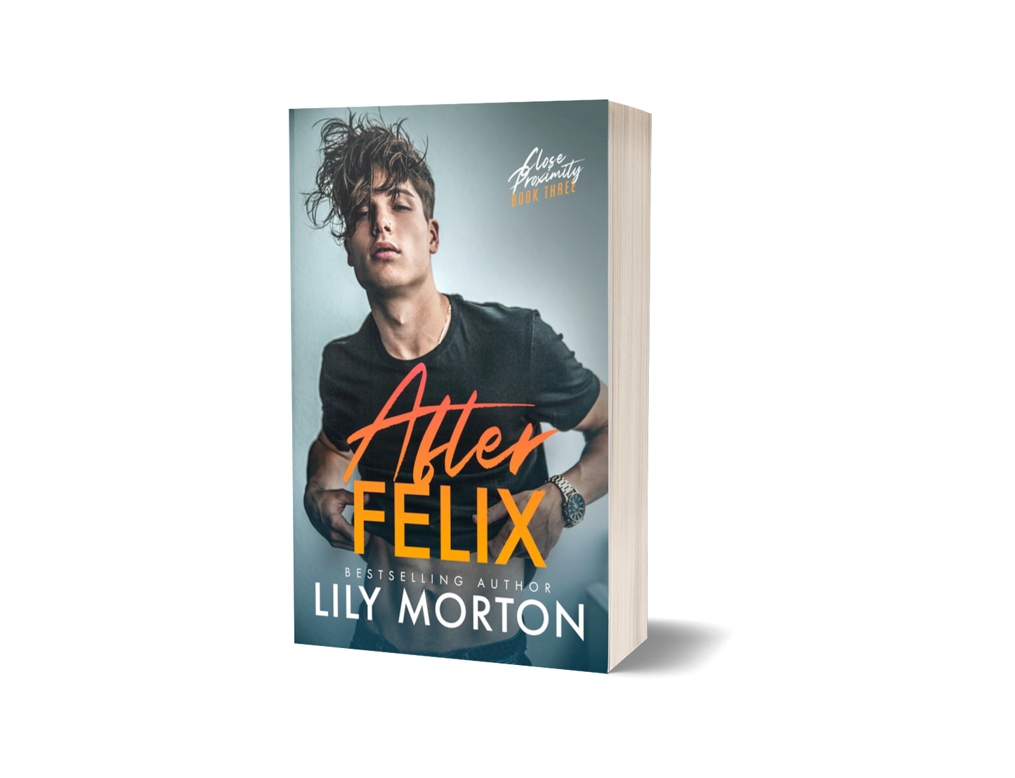 After Felix - Paperback