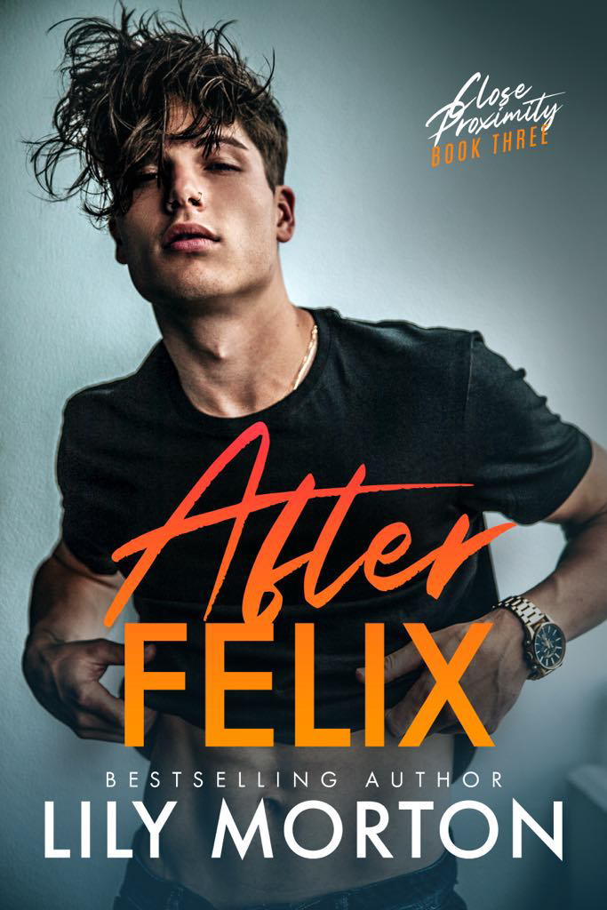 After Felix - Paperback